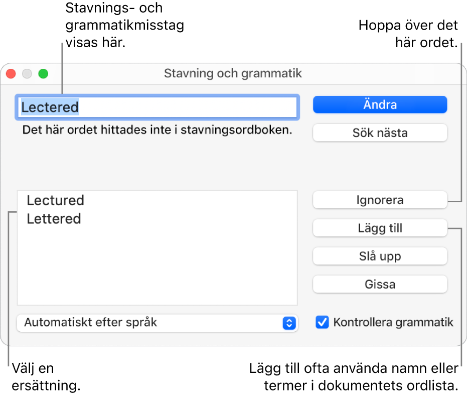 Fönstret Stavning och grammatik.