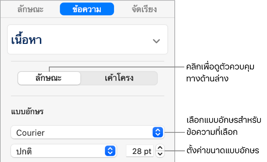 ตัวควบคุมข้อความในส่วนลักษณะของแถบด้านข้างสำหรับตั้งค่าแบบอักษรและขนาดแบบอักษร