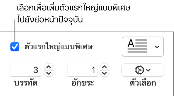 กล่องกาเครื่องหมายตัวแรกใหญ่แบบพิเศษถูกเลือกอยู่ และเมนูที่แสดงขึ้นแสดงทางด้านขวา โดยตัวควบคุมสำหรับการตั้งค่าความสูงของบรรทัด จำนวนอักขระ และตัวเลือกอื่นๆ แสดงอยู่ด้านล่าง