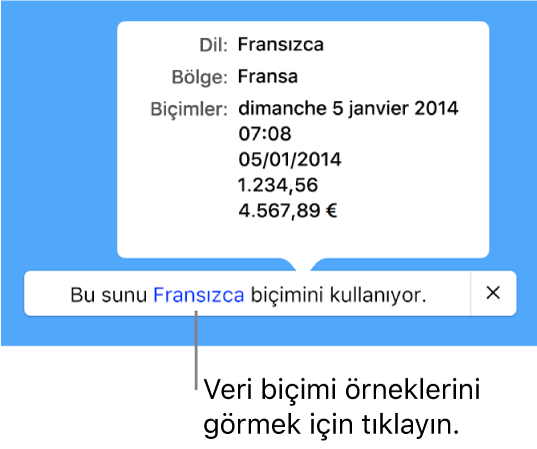 O dil ve bölgede kullanılan biçimlendirme örneklerini gösteren, farklı dil ve bölge ayarı bildirimi.