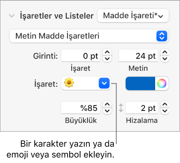 Biçim kenar çubuğunun Madde İşaretleri ve Listeler bölümü. Madde İşareti alanı bir çiçek emojisi gösterir.