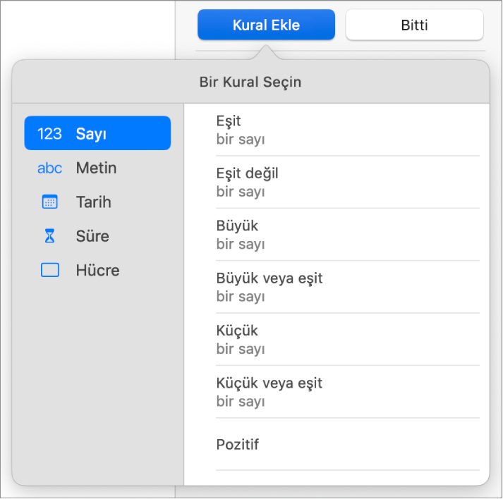 Koşullu vurgulama ayarlamak için kullanılan denetimler.