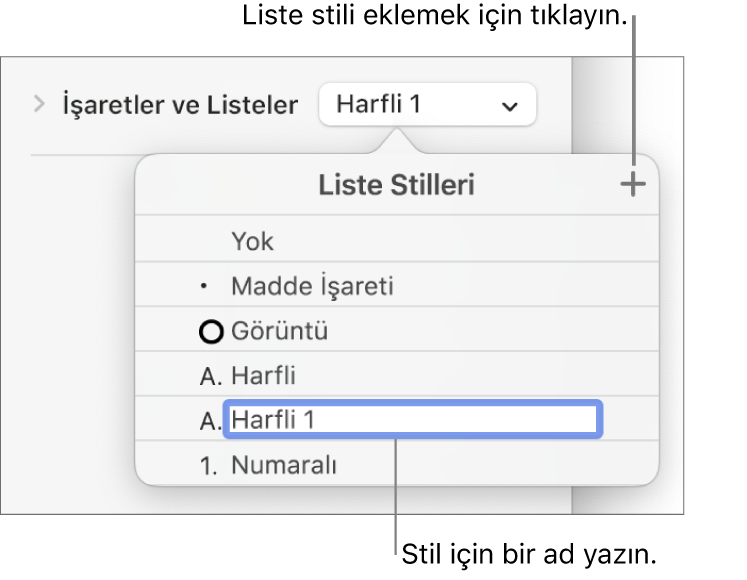 Sağ üst köşede Ekle düğmesi olan Liste Stilleri açılır menüsü ve metni seçili olan yer tutucu stili adı.