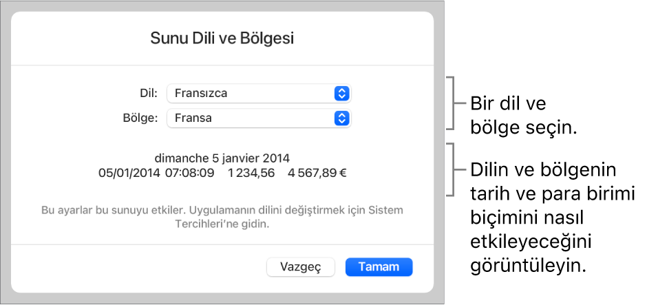 Dil ve bölge denetimleri ve tarih, saat, ondalık ve para birimi de dahil olmak üzere bir biçim örneği ile Dil ve Bölge bölümü.