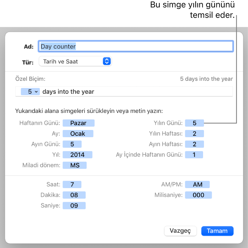 Özel tarih ve saat biçimini yaratma denetimlerinin bulunduğu özel hücre biçimi penceresi.