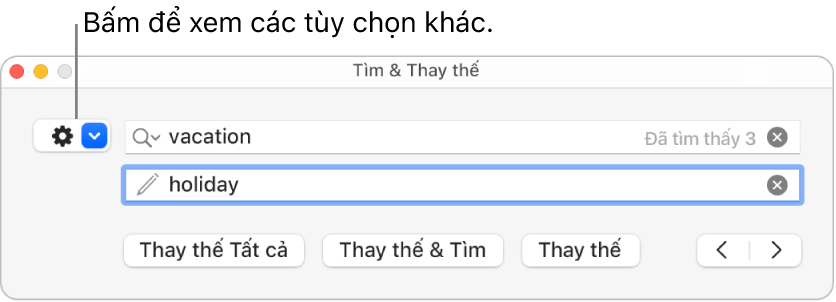 Cửa sổ Tìm & Thay thế có chú thích đến menu bật lên hiển thị thêm tùy chọn.