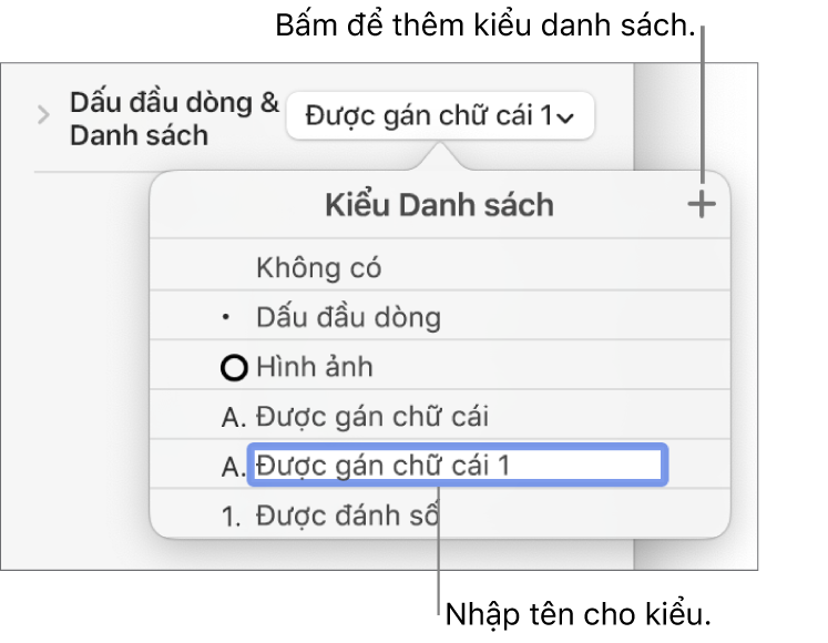 Menu bật lên Kiểu danh sách có nút Thêm ở góc trên cùng bên phải và tên kiểu giữ chỗ với văn bản được chọn.