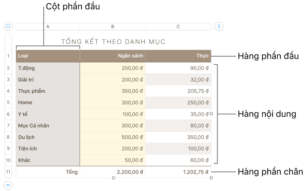 Bảng hiển thị các hàng và cột phần đầu, phần thân và phần chân cũng như các bộ điều khiển để thêm hoặc xóa các hàng hoặc cột.