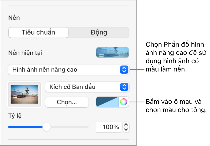 Các điều khiển Nền với Hình ảnh nền nâng cao có màu được đặt dưới dạng nền trang chiếu.