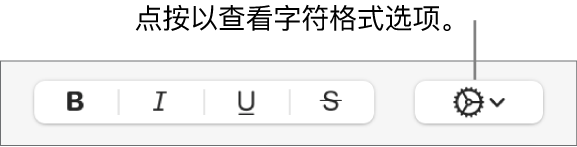 “粗体”、“斜体”和“下划线”按钮旁边的“高级选项”按钮。