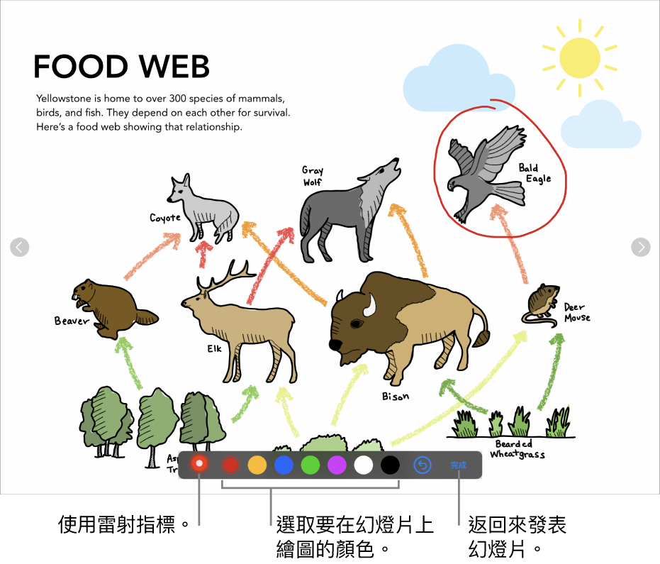 幻燈片圖解模式中的幻燈片顯示雷射筆和顏色選取控制項目。