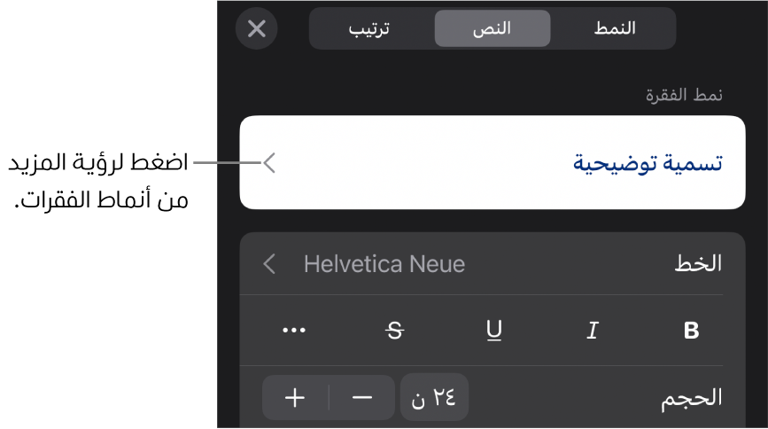 القائمة تنسيق تعرض عناصر التحكم في النص لإعداد أنماط الأحرف والفقرات والخط والحجم واللون.