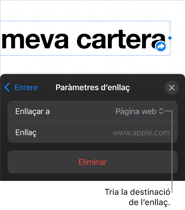 Controls “Paràmetres d’enllaç” amb l’opció “Pàgina web” seleccionada i el botó “Elimina” situat a la part inferior.