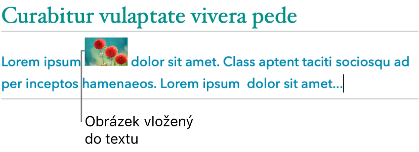 Obrázek umístěný v textu jako vložený objekt