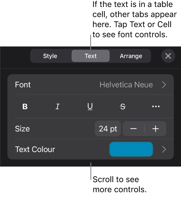 Text controls in the Format menu for setting paragraph and character styles, font, size and colour.