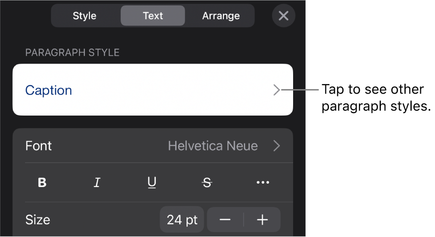 The Format menu showing text controls for setting paragraph and character styles, font, size and colour.