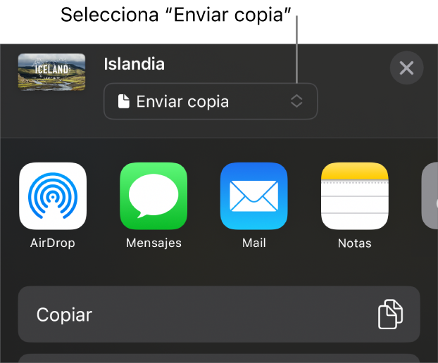 El menú Compartir con la opción “Enviar copia” seleccionada en la parte superior.