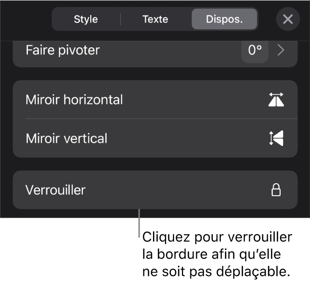 Les commandes Disposition dans le menu Format avec le bouton Verrouiller en évidence.