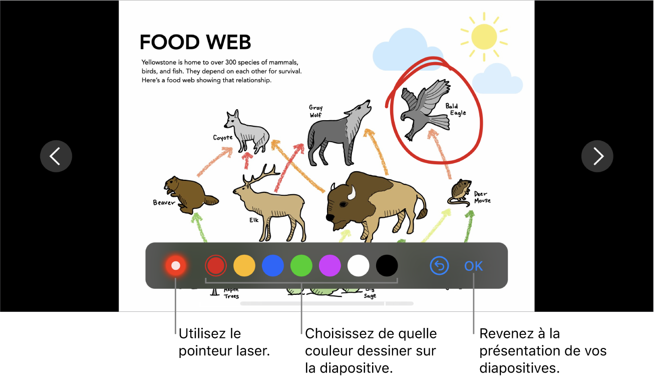 Une diapositive en mode d’illustration de diapositive affichant le pointeur laser et les commandes de sélection de couleur.