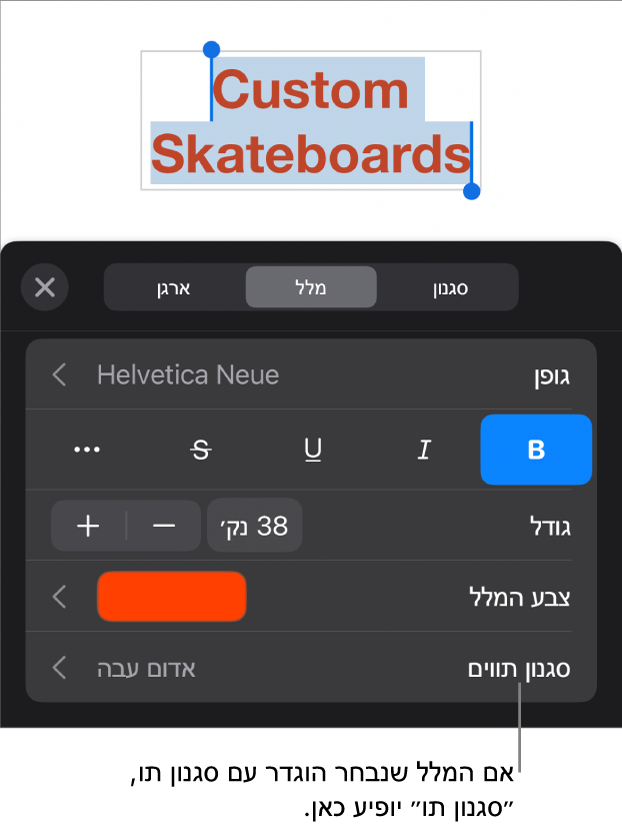 כלי הבקרה לעיצוב מלל עם ״סגנון תווים״ מתחת לכלי הבקרה של צבעים. סגנון התווים ״ללא״ מופיע עם כוכבית.