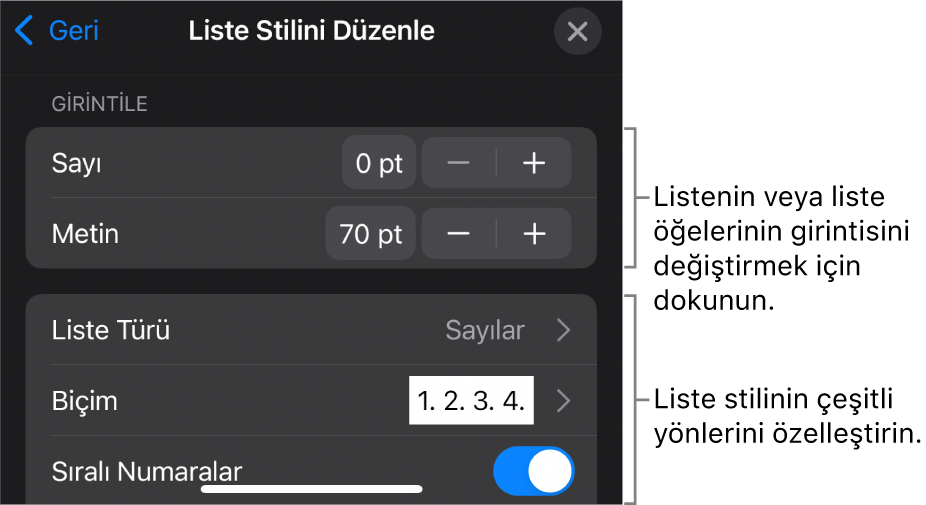 Listenin türünü ve görünüşünü düzenleme denetimleriyle Liste Stilini Düzenle menüsü.