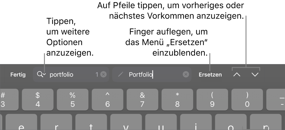 Die Steuerelemente „Suchen & Ersetzen“ über der Tastatur mit Beschreibungen zur Taste für Suchoptionen, zur Taste „Ersetzen“ und zu den Aufwärts- und Abwärts-Tasten.