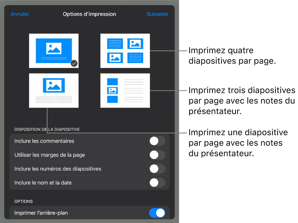 Options de disposition d’impression