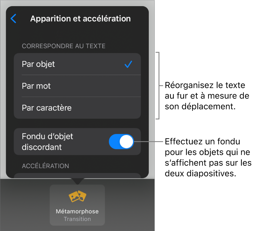 Options d’apparition et d’accélération des transitions Métamorphose dans la sous-fenêtre Accélération.