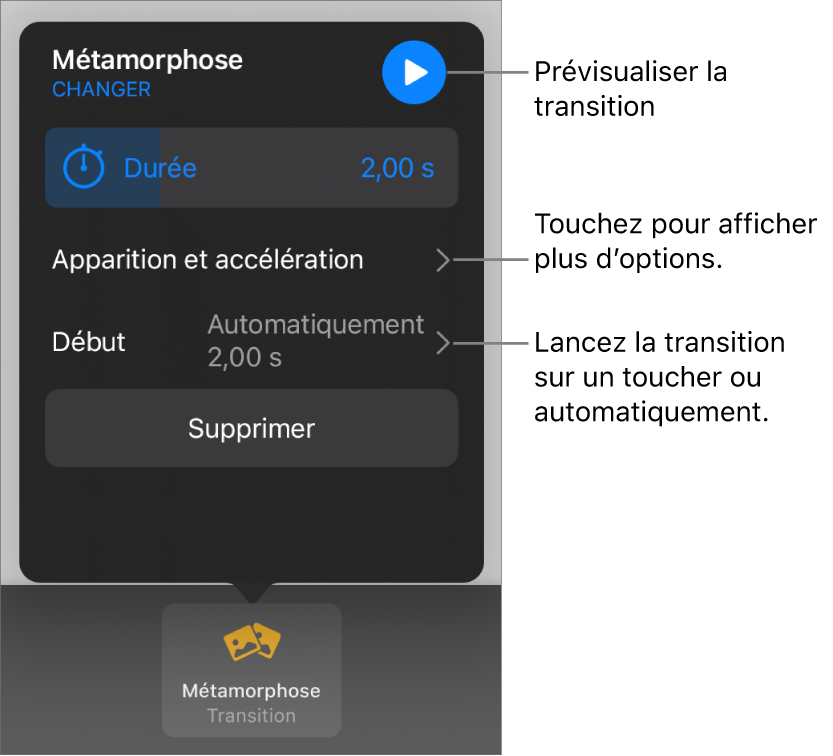 Commandes Métamorphose de la sous-fenêtre Transitions.