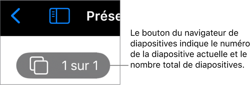 Le bouton du navigateur de diapositives présentant le numéro de la diapositive active et le nombre total de diapositives dans la présentation.