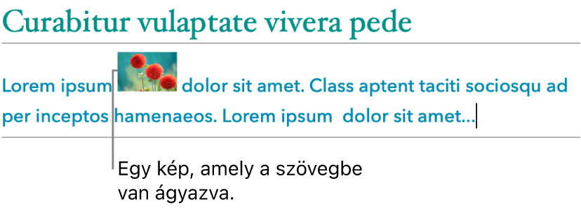 Egy kép a szöveggel egy sorban elhelyezve.