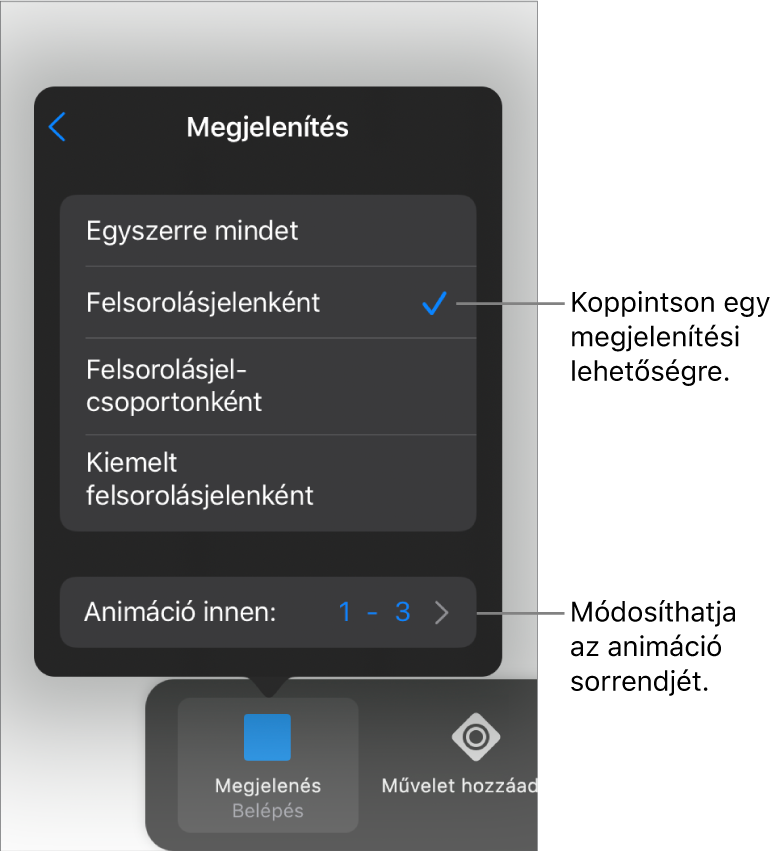 Végrehajtási beállítások a Belépés panelen.