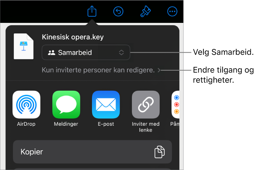 Del-menyen med Samarbeid markert øverst, og tilgangs- og tillatelsesinnstillingene under.