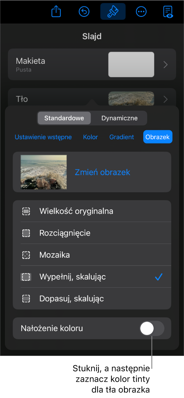 Narzędzia tła z obrazkiem ustawionym jako tło slajdu oraz na dole narzędzie Nałożenie koloru.
