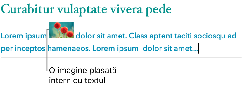 O imagine este plasată intern cu text.