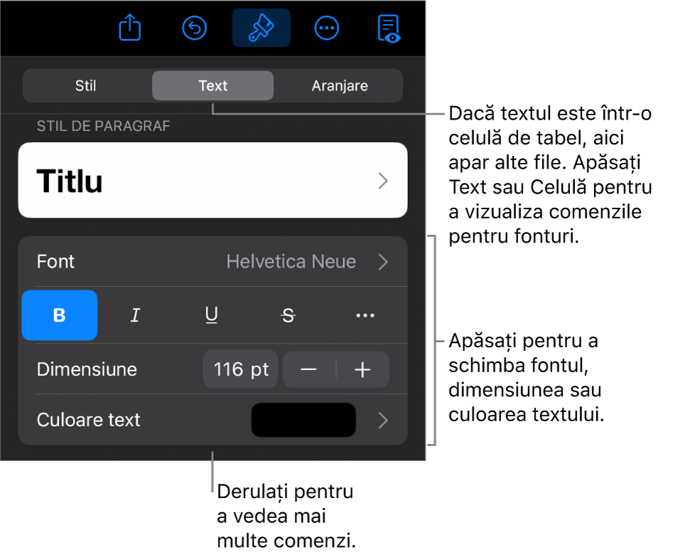 Comenzi text din meniul Format pentru configurarea paragrafelor și a stilurilor, fonturilor, dimensiunii și culorii caracterelor.