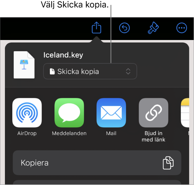 Delningsmenyn med Skicka kopia markerat högst upp.