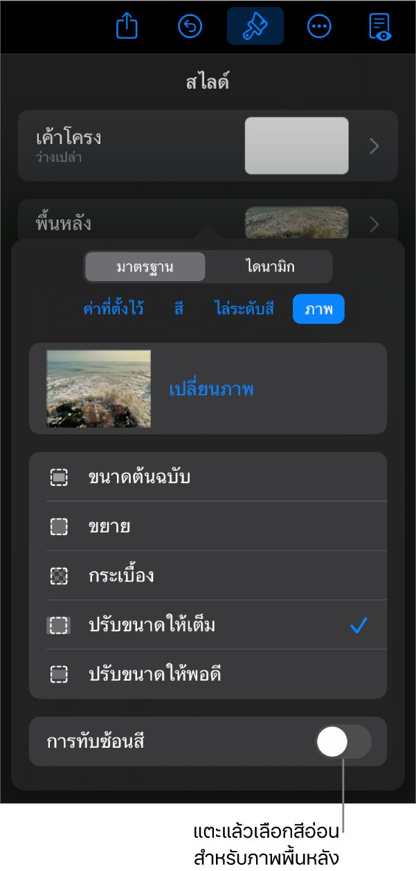 ตัวควบคุมพื้นหลัง โดยที่ภาพถูกตั้งค่าเป็นพื้นหลังของสไลด์ และตัวควบคุมการทับซ้อนสีอยู่ด้านล่างสุด