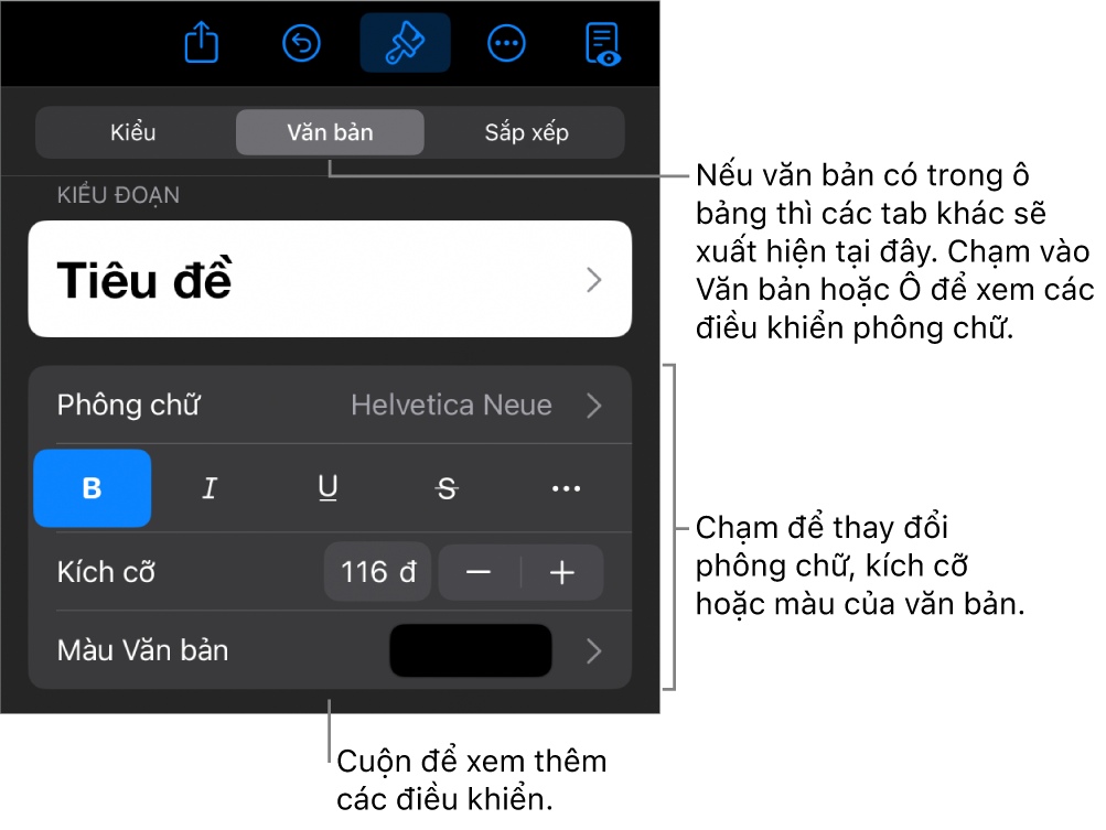 Các điều khiển văn bản trong menu Định dạng để đặt kiểu, phông chữ, kích cỡ và màu của đoạn và ký tự.