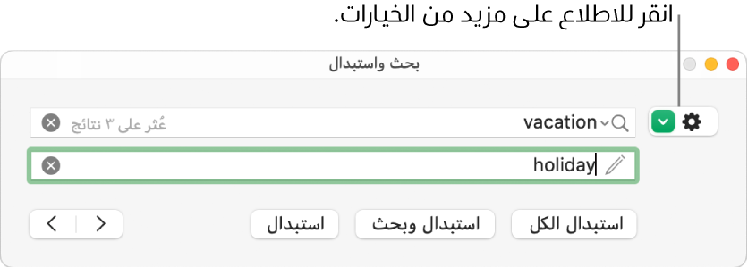 نافذة البحث والاستبدال مع وسيلة شرح للزر الخاص بإظهار المزيد من الخيارات.