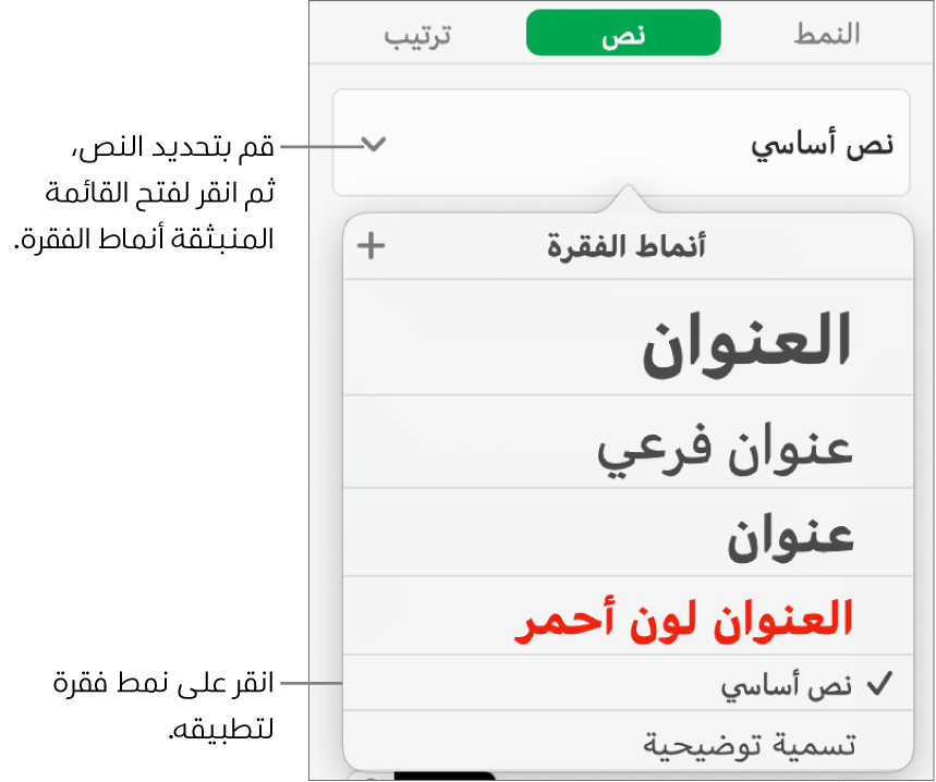 قائمة أنماط الفقرة مع علامة اختيار بجوار النمط المحدد.