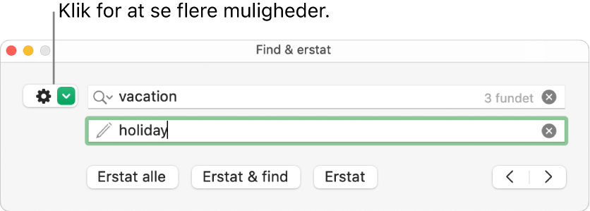 Vinduet Find & erstat med billedforklaring til knappen, der viser flere muligheder.