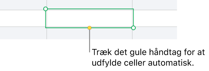 En valgt celle med et gult håndtag, som du kan trække for at udfylde celler automatisk.