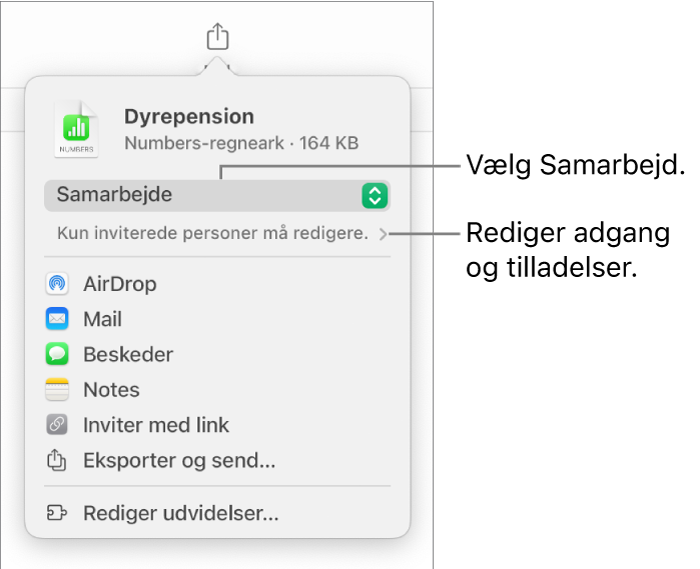 Menuen Del med Samarbejde valgt øverst og adgangs- samt tilladelsesindstillinger nedenunder.