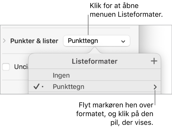 Lokalmenuen Listeformater med et format valgt og en pil yderst til højre.