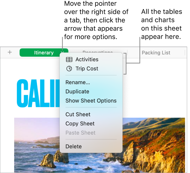 A spreadsheet tab with the shortcut menu open, showing options including Duplicate.