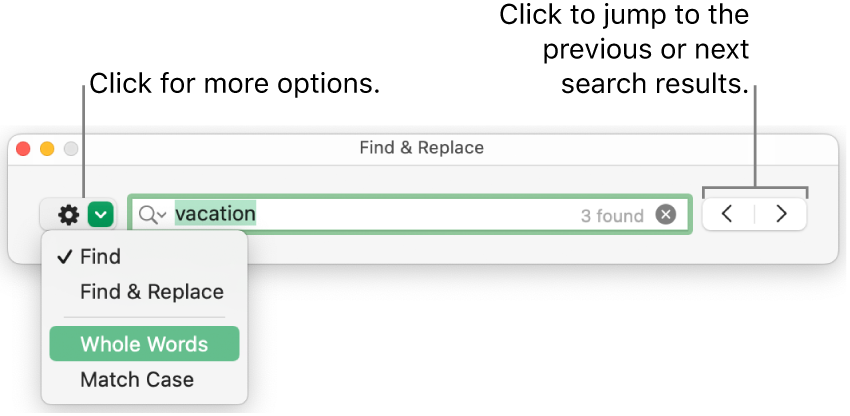 The Find & Replace window with the pop-up menu showing options for Find, Find & Replace, Whole Words, and Match Case. The arrows on the right let you jump to the previous or next search results.