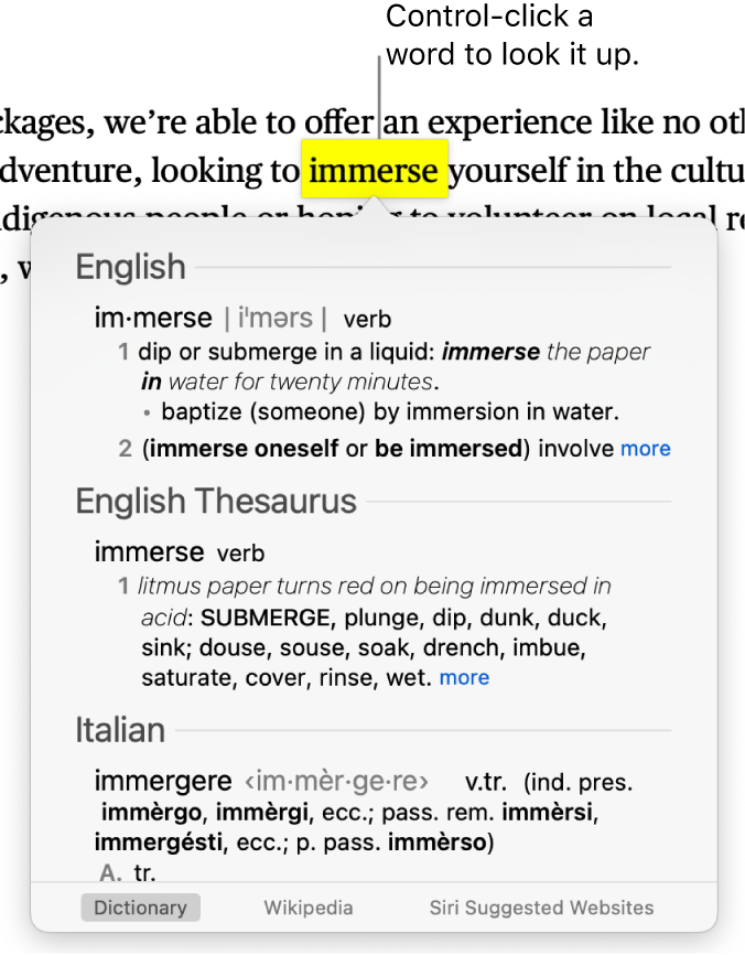 Text with a word highlighted and a window showing its definition and a thesaurus entry. Three buttons at the bottom of the window provide links to the dictionary, Wikipedia, and Siri suggested websites.