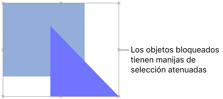 Objetos bloqueados con manijas de selección atenuadas.