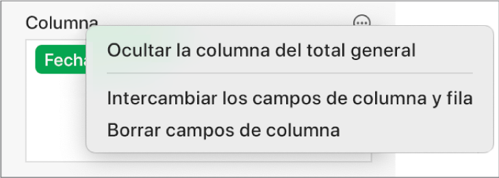 El menú Más opciones de campo, que muestra los controles para ocultar totales generales, intercambiar campos de columna y fila y borrar campos.